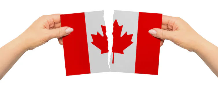 Two hands ripped a Canadian flag in half