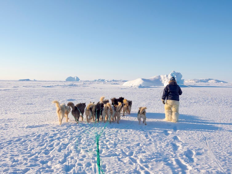 Inuit hunter wearing traditional trousers and boots made from polar bear fur is walking on the sea ice of the Melville Bay near Kullorsuaq in North Greenland. North America, danish territory.