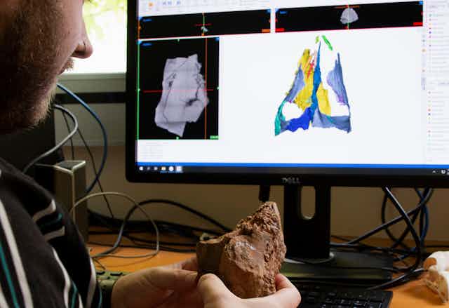 Tim Frauenfelder holding the Boulia ankylosaur skull, with 3D models in the background