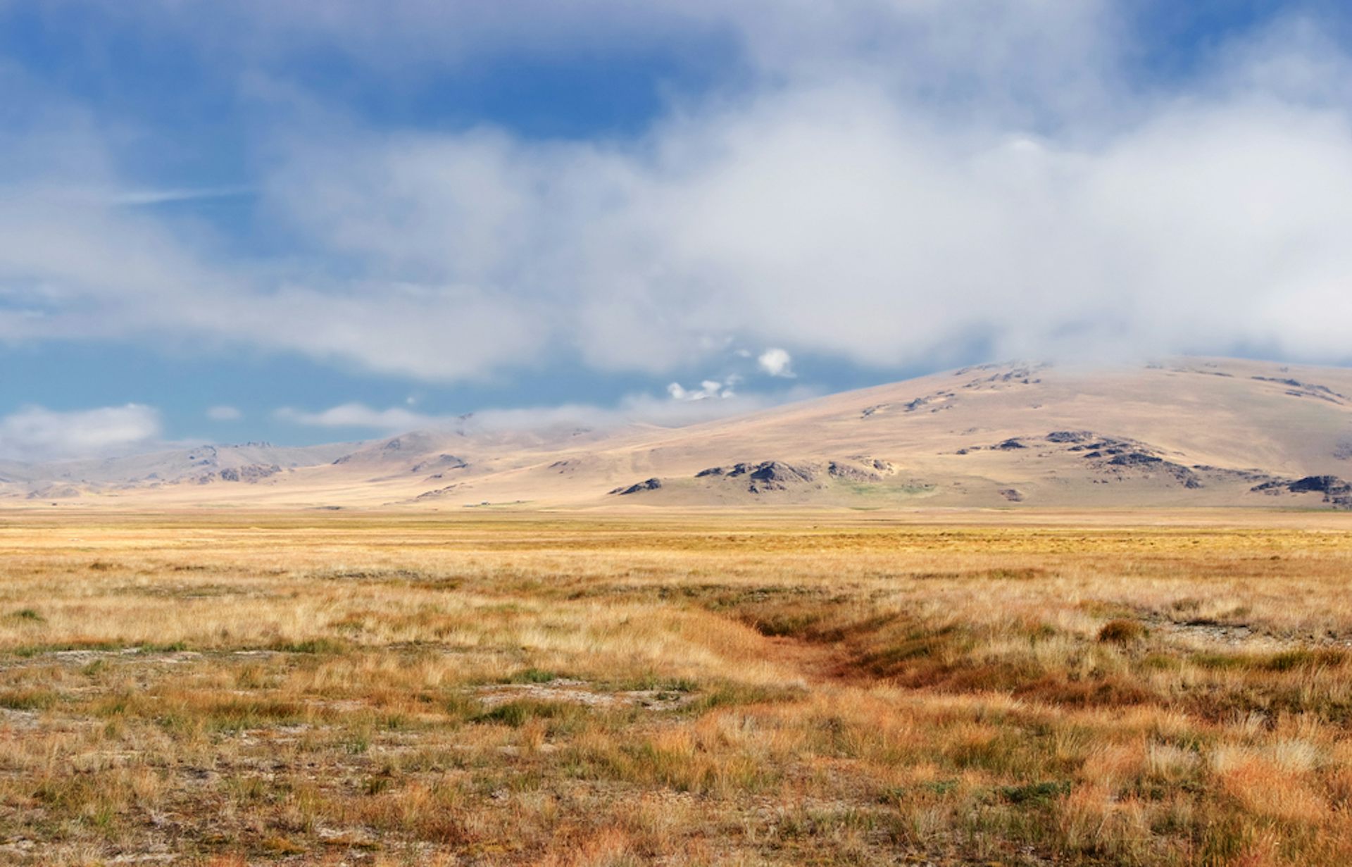 paysage de plaine jaunâtre, avec des montagnes en arrière-plan