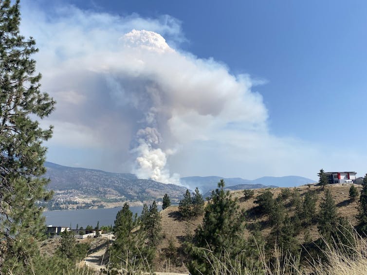 Le feu de Thomas Creek, à 1,5 km à l’est du lac Skaha, près d’Okanagan Falls, en Colombie-Britannique, en juillet 2021. LA PRESSE CANADIENNE/Penticton Herald-Mark Brett