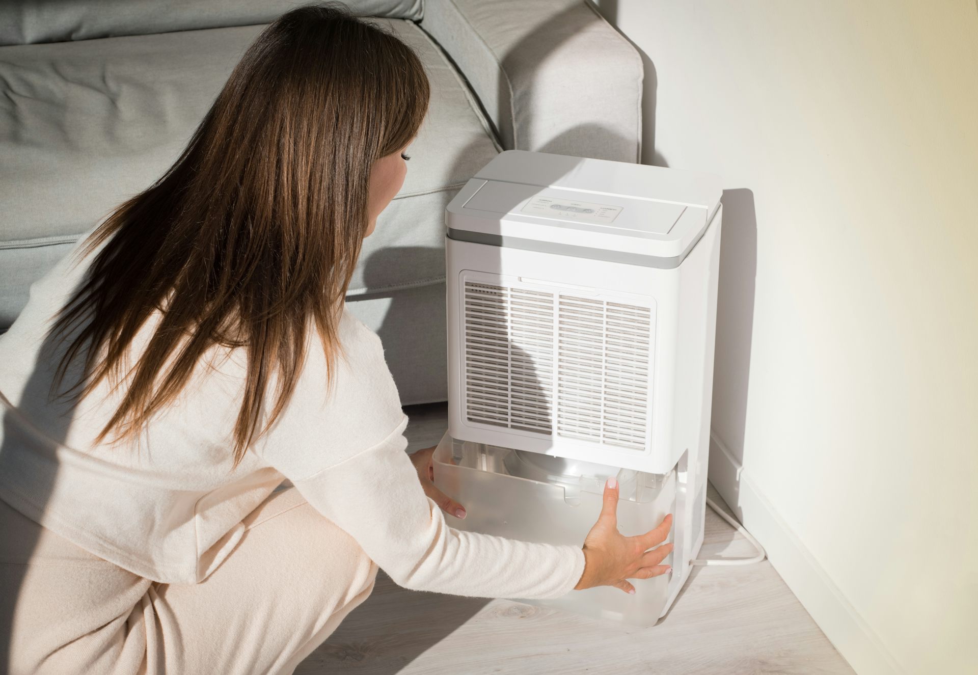 Thinking of buying a dehumidifier Advice from an expert on mould