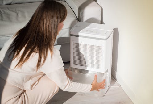 Thinking of buying a dehumidifier? Advice from an expert on mould and damp