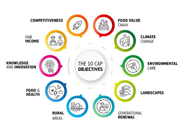 Graphic showing Common Agricultural Policy key objectives