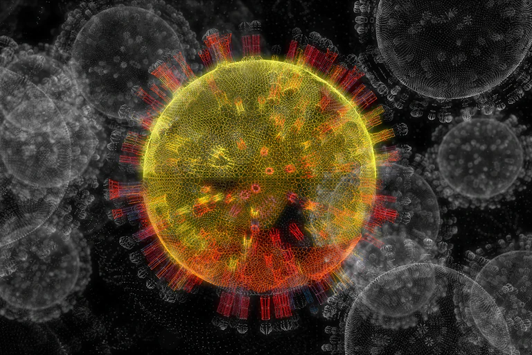 Vue d'artiste d'un virus type SARS-CoV-2 de couleur vive sur un fond plus sombre avec d'autres silhouettes de virus grise