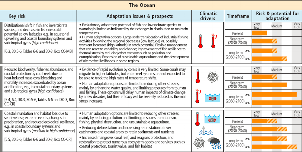 The IPCC has spelled out the risks – now what do we do?