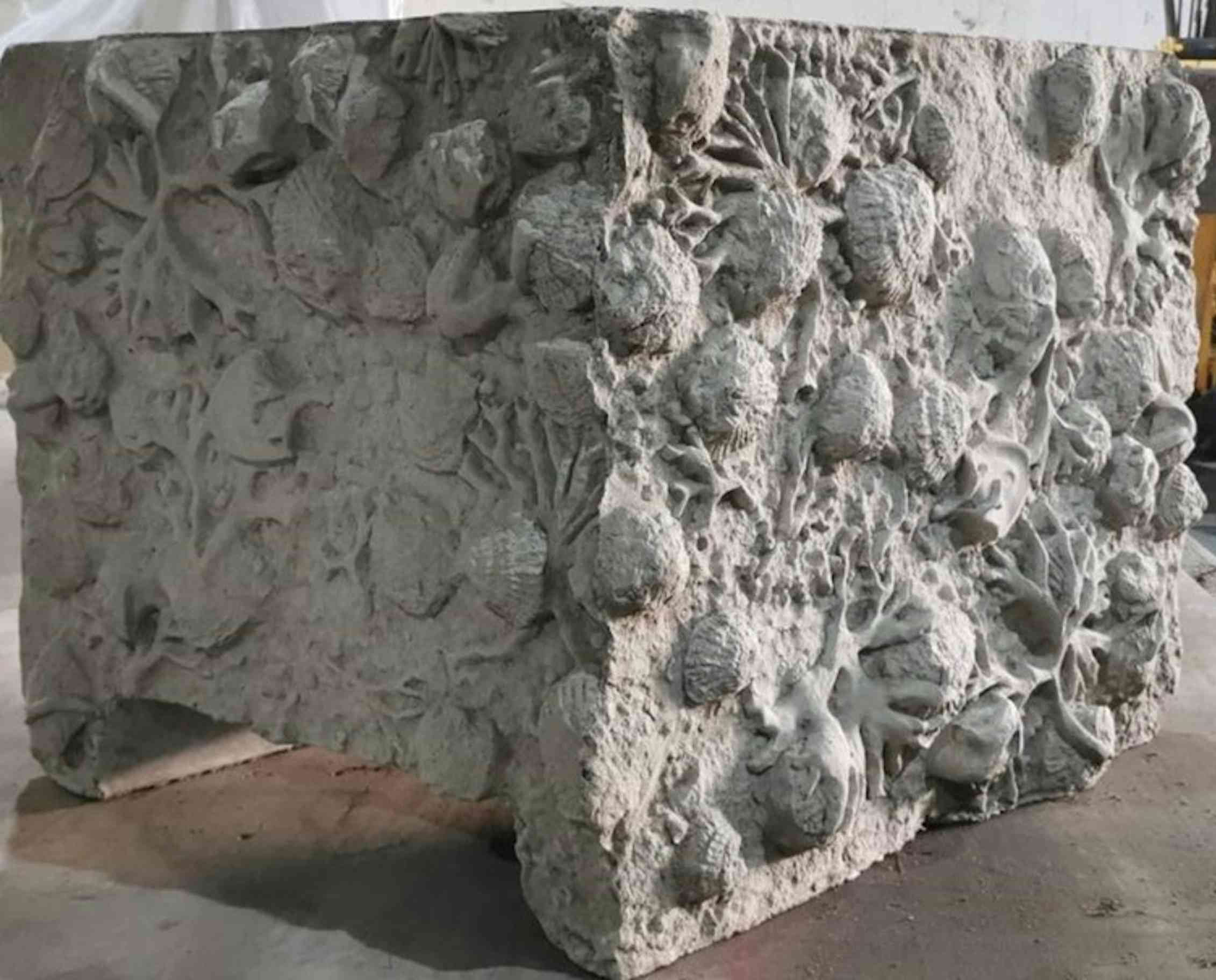 A concrete block covered in the shapes of shells and corals.