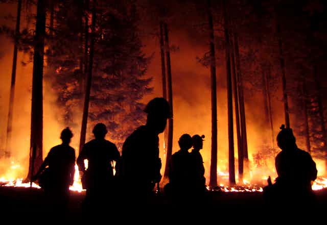Firefighters and trees silhouetted against light from a fire