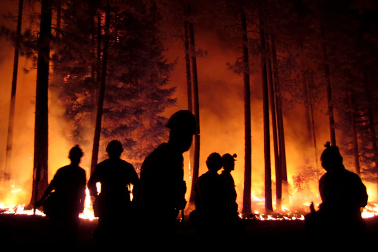 Firefighters and trees silhouetted against light from a fire