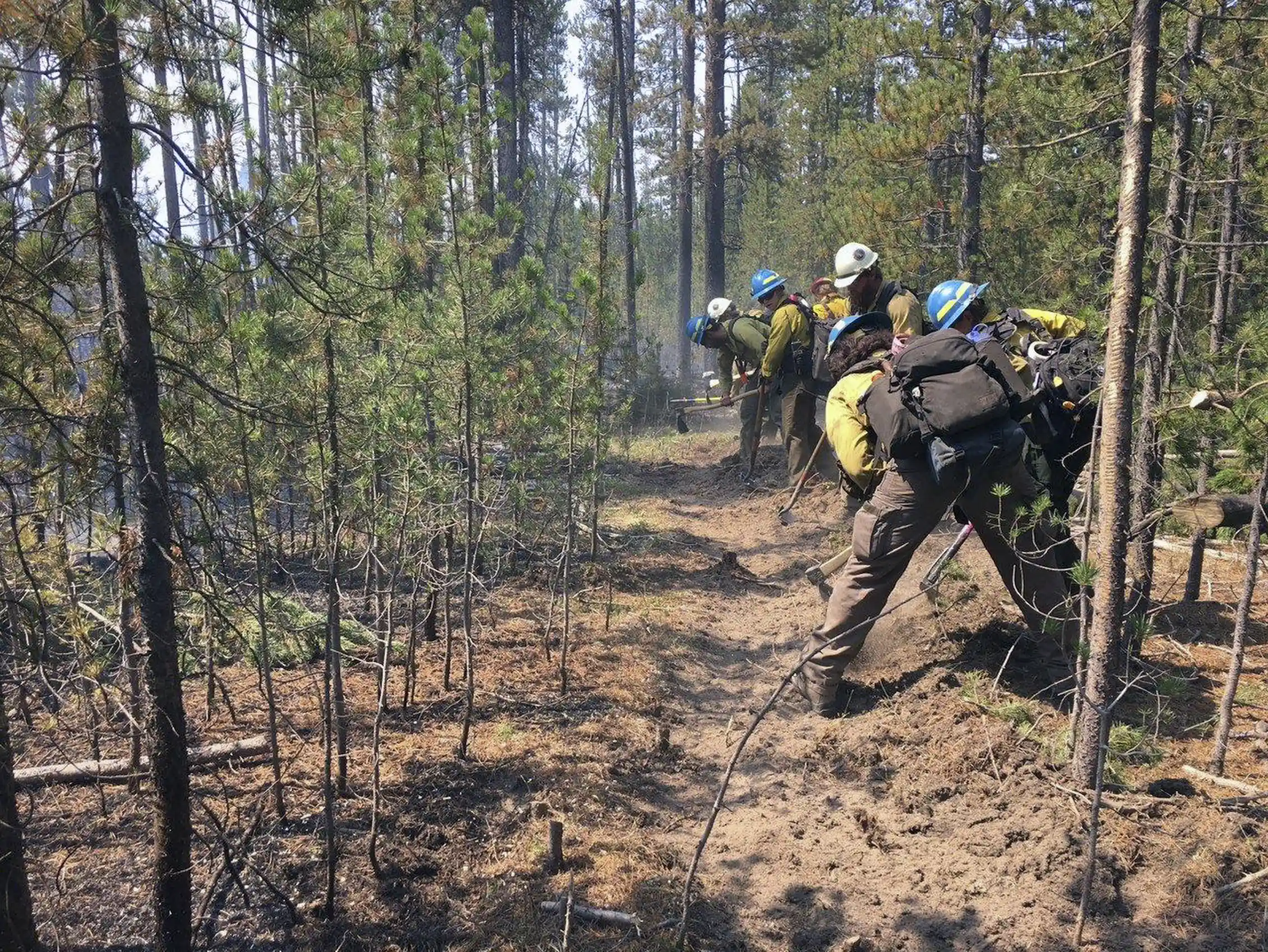 Contain Fire 6 wildfire terms to understand, from red flag warning to 100% containment