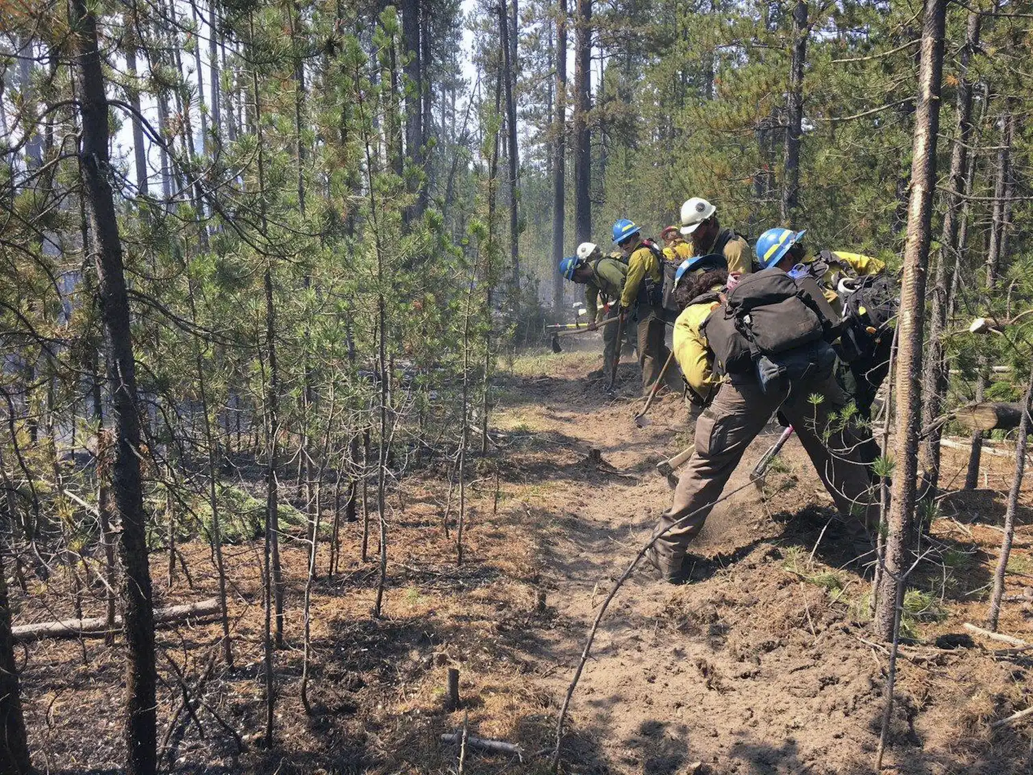 Bushfire Containment What 100% containment really means and 5 other wildfire terms to know