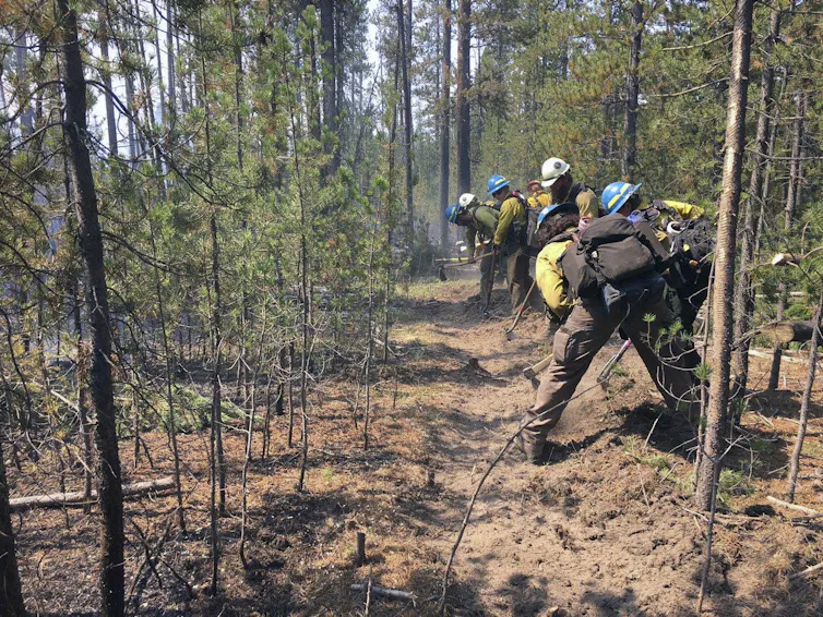 6 wildfire terms to understand, from red flag warning to 100% containment