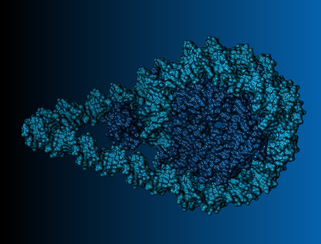 Représentation 3D, l'ADN semble former une goutte qui s'enroule deux fois autour d'une masse compacte