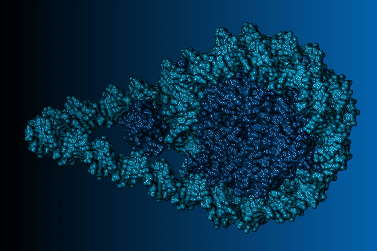 Représentation 3D, l'ADN semble former une goutte qui s'enroule deux fois autour d'une masse compacte