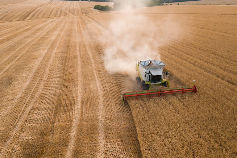Combine harvester moving through a wheat field