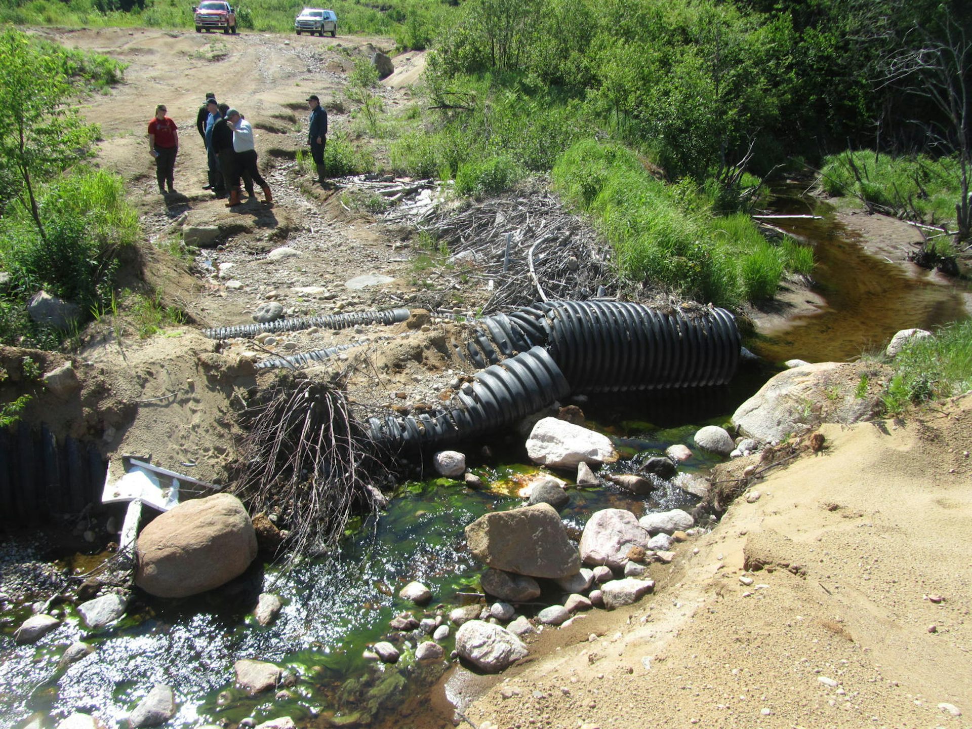 People are standing on a road bordering a river