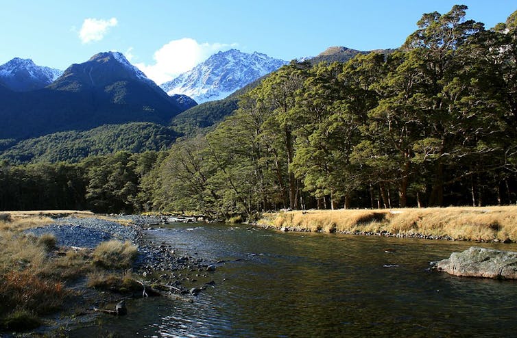 Caples River