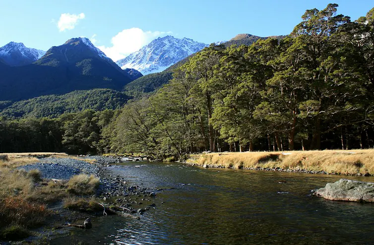 Caples River