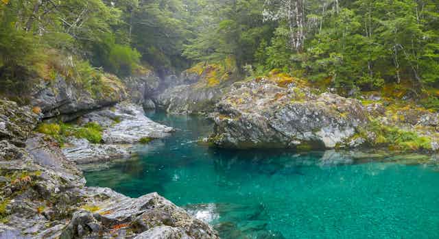 How New Zealand's review of ecologically important land could open the door to more mining on conservation land