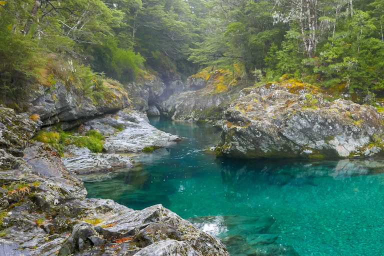 A gorge along the Caples River in New Zealand.