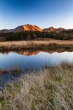 Mt Arthur reflected in tarn at dusk, Kahurangi National Park, New Zealand