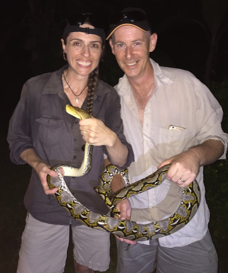 A sweaty husband and wife team holding a large Reticulated Python.