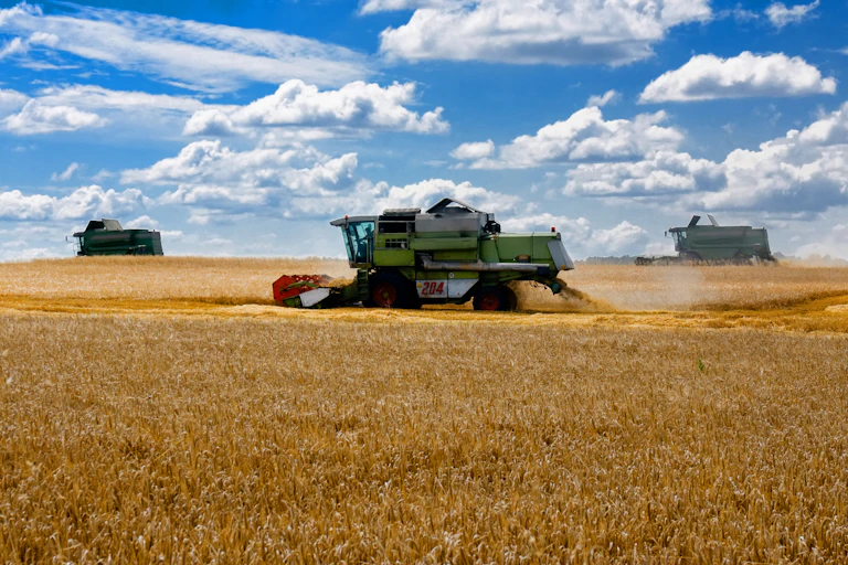 Machines harvest wheat in Ukraine.