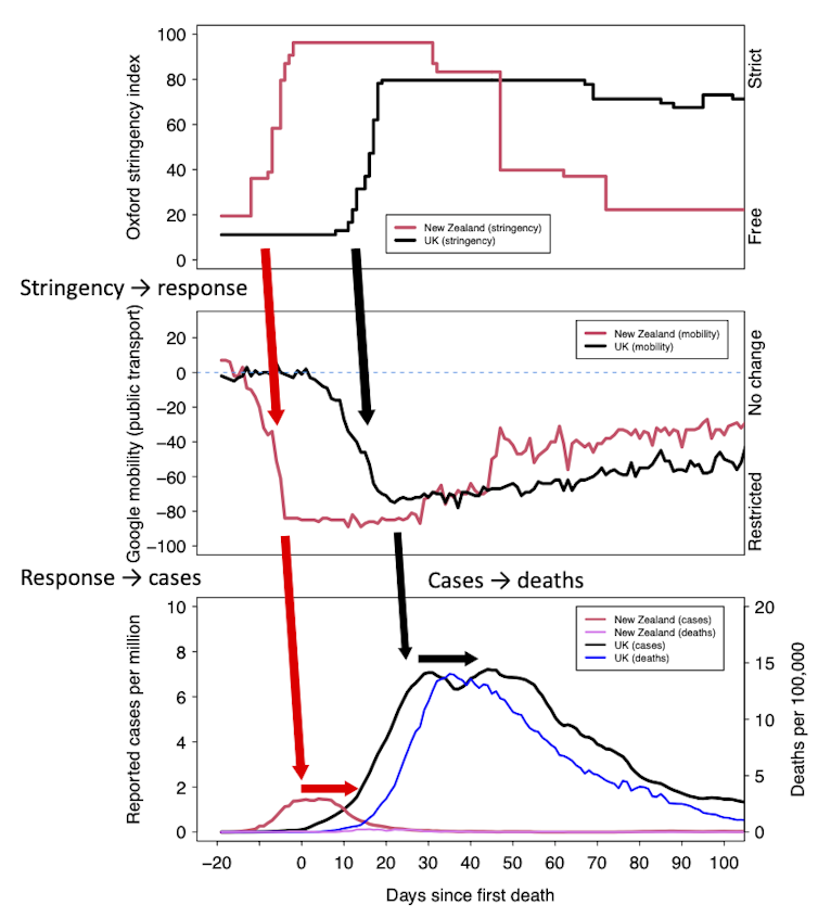 Graph showing how New Zealeand introduced stricter control measures quicker in spring 2020 compared to the UK, and suffered fewer cases and deaths as a result