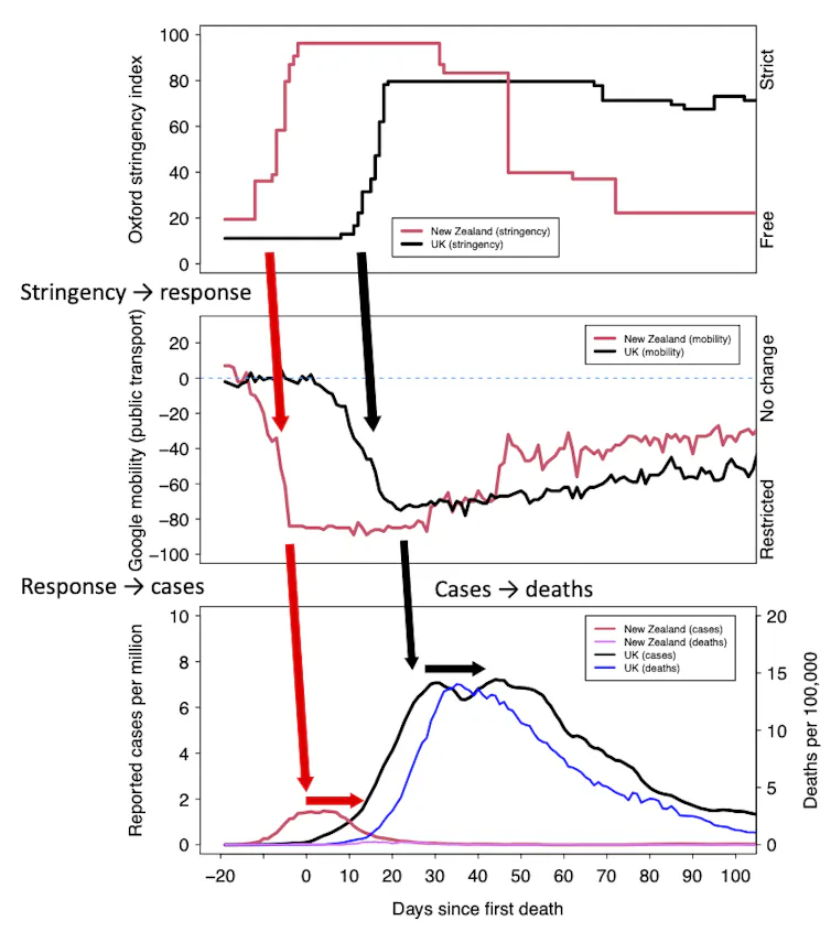 Graph showing how New Zealeand introduced stricter control measures quicker in spring 2020 compared to the UK, and suffered fewer cases and deaths as a result