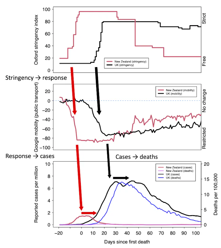 Graph showing how New Zealeand introduced stricter control measures quicker in spring 2020 compared to the UK, and suffered fewer cases and deaths as a result