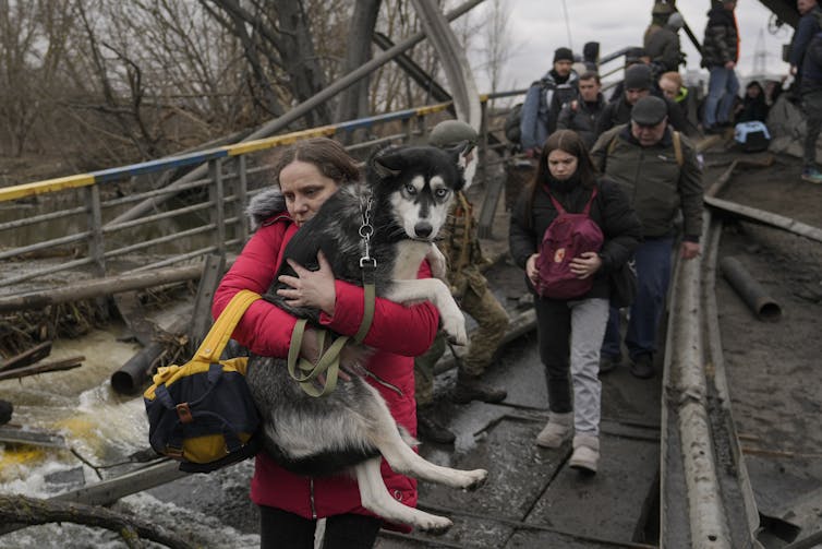 A woman carries a husky with other people in a line behind her.