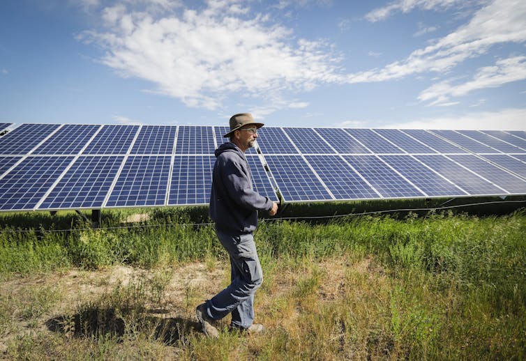 A man walking in front of a giant wall of solar panels