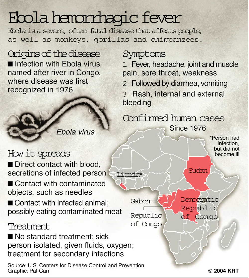 Explainer What Is Ebola Virus Explainer what is ebola virus