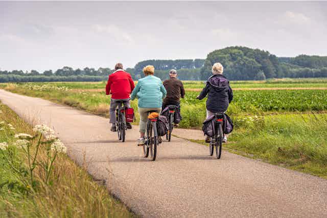 Cuatro personas mayores de espaldas en bicicleta por el campo.
