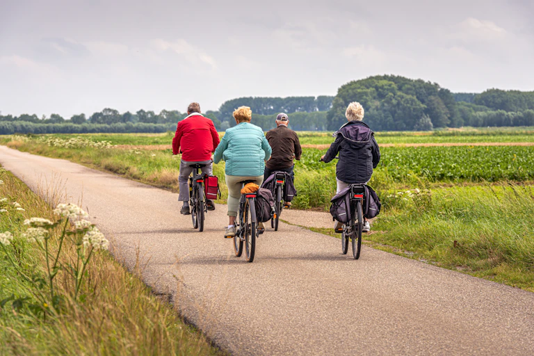 Cuatro personas mayores de espaldas en bicicleta por el campo.