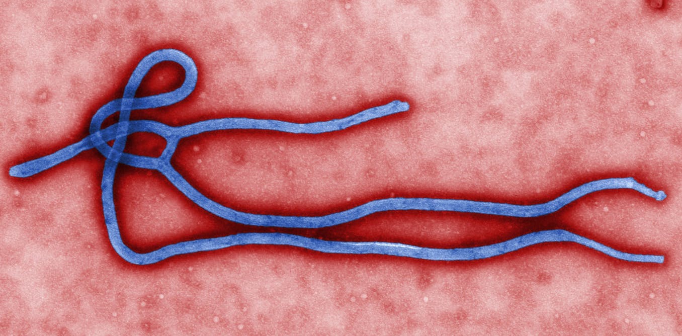 the dangers of ebola virus the dangers of ebola virus