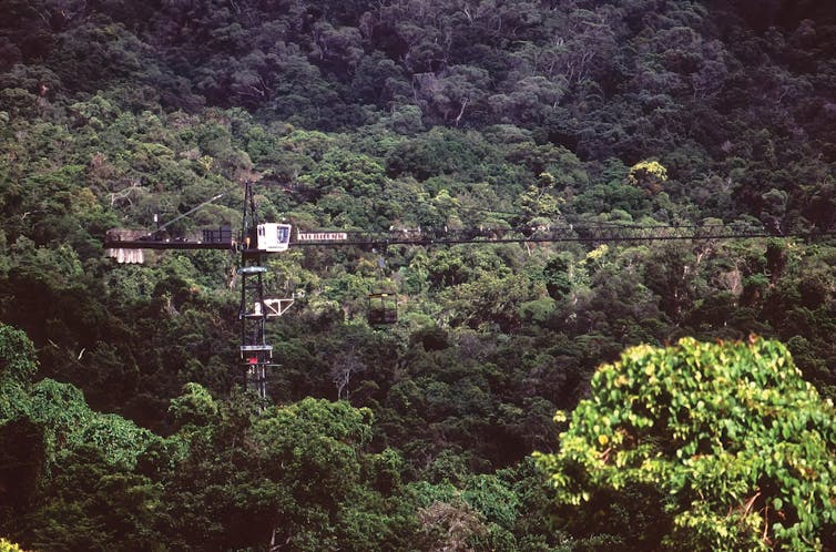 canopy crane