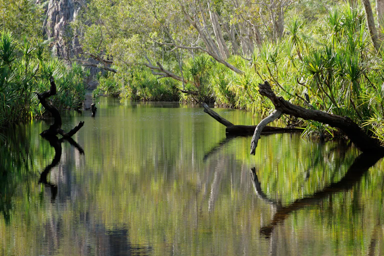 River with verdant trees along its banks