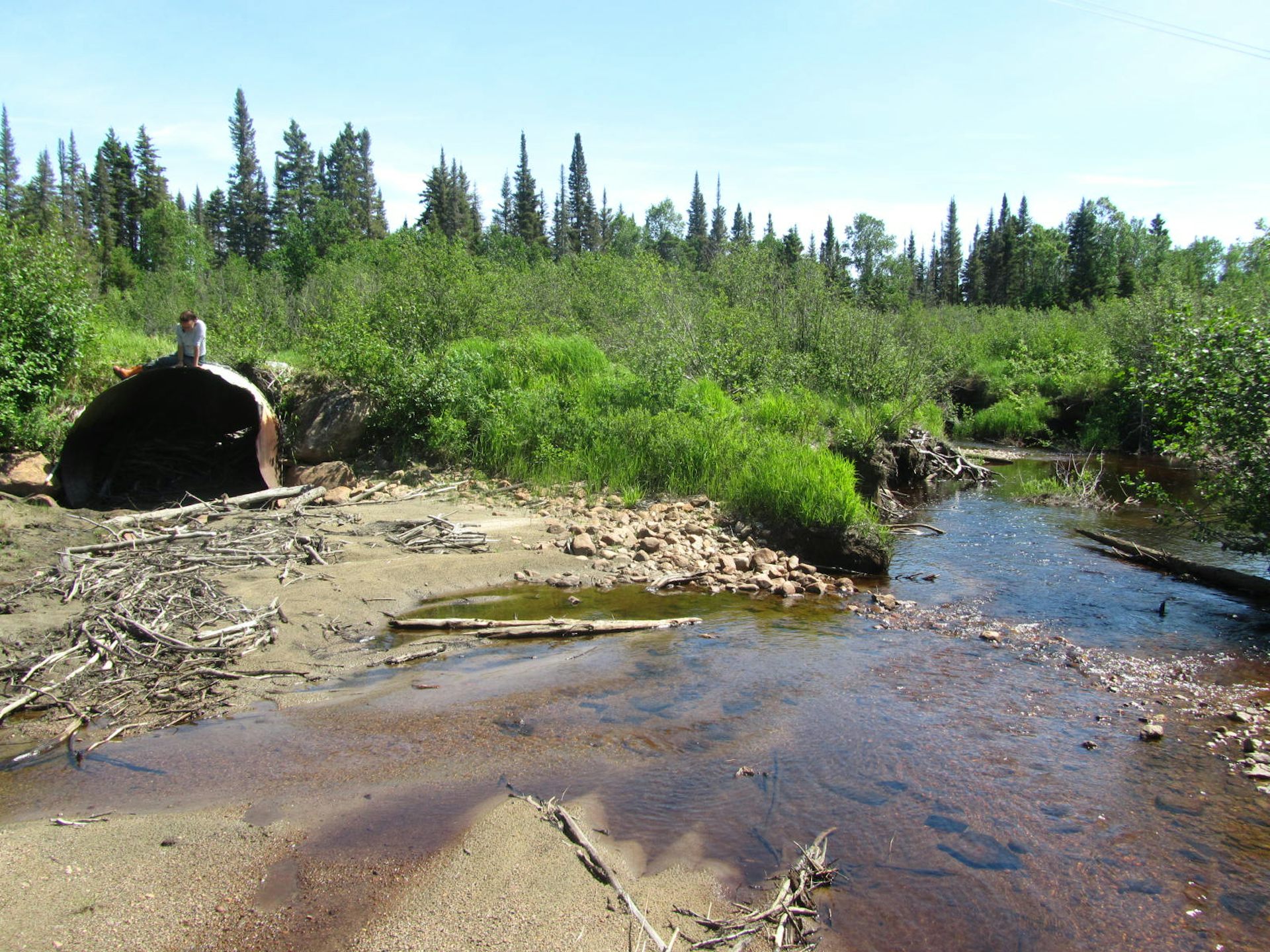 culvert on a road, abutting a river