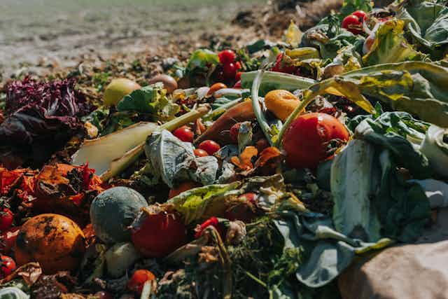 A heap of organic food waste on a vegetable farm.