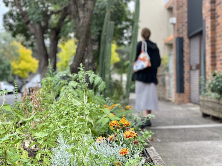 woman walks past verge garden