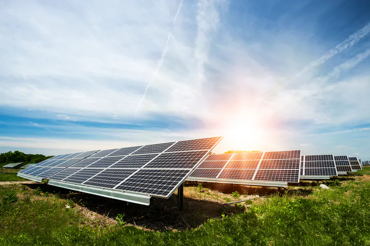 Solar panels on grass.