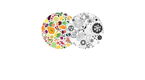 Cuidar la microbiota está de moda pero, ¿cuál es la forma idónea de alimentarla? Cuidar la microbiota está de moda pero, ¿cuál es la forma idónea de alimentarla?
