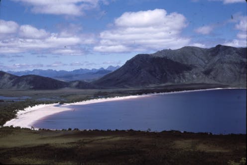 how the world's first Green Party was born in Tasmania 50 years ago