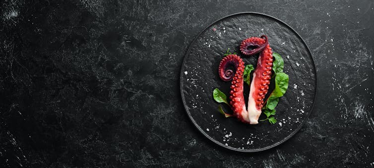 Boiled octopus tentacles on a stone plate