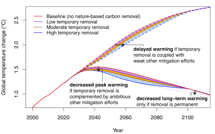 A graphic showing the impact of nature-based carbon removal on temperature with and without a decline in emissions.