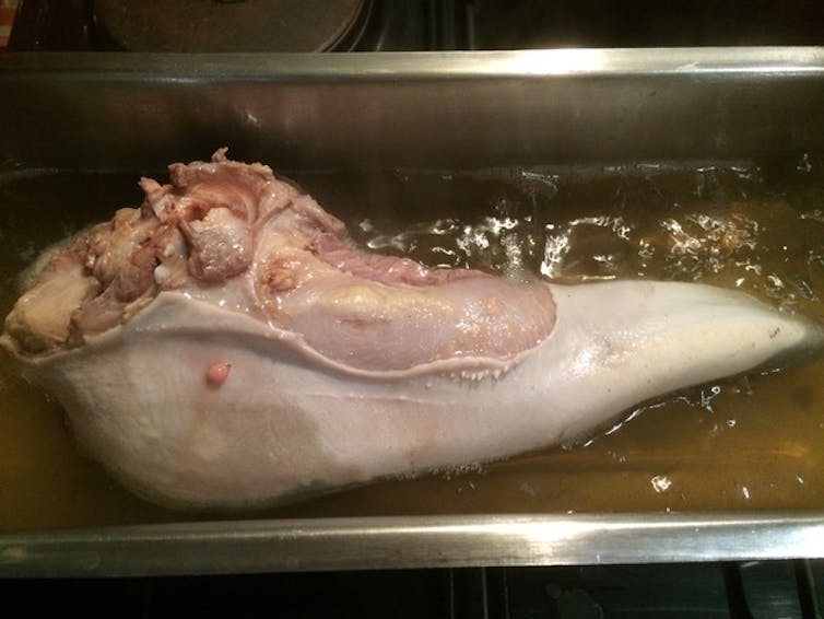 A tongue being boiled.