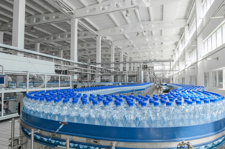A factory conveyor belt filled with empty plastic bottles.