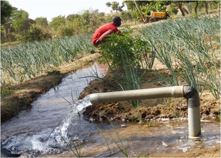 Man in field beside pipe