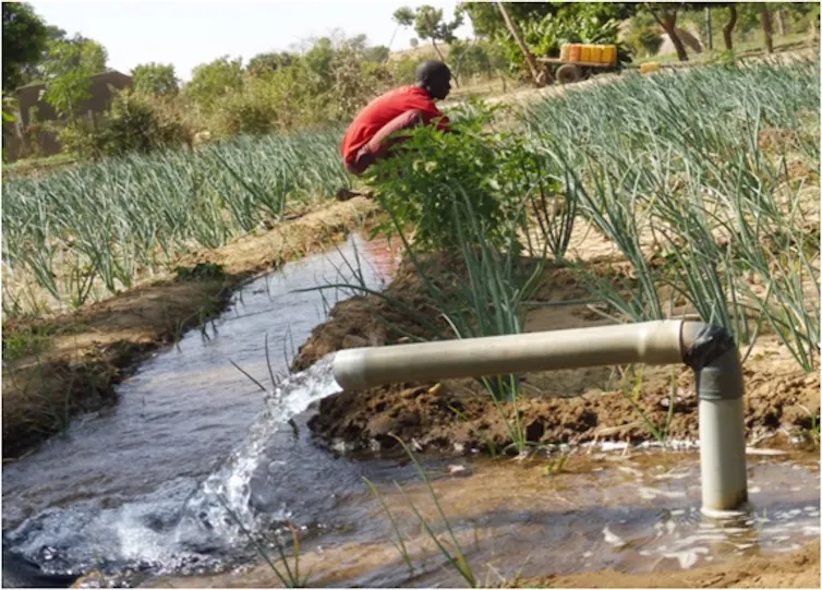 Man in field beside pipe